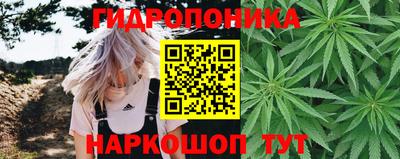 шишки Бузулук