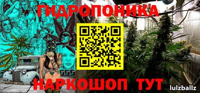 шишки Бузулук