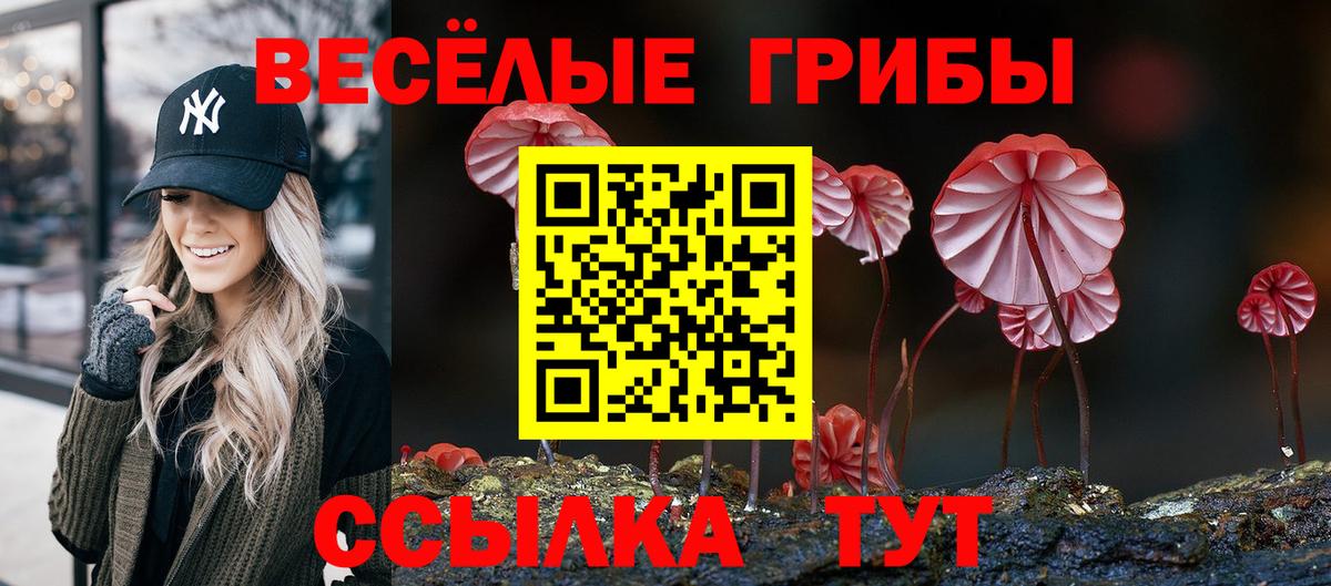 Псилоцибиновые грибы MAGIC MUSHROOMS  Вход с VPN  Псилоцибиновые грибы прущие грибы  Соль-Илецк 
